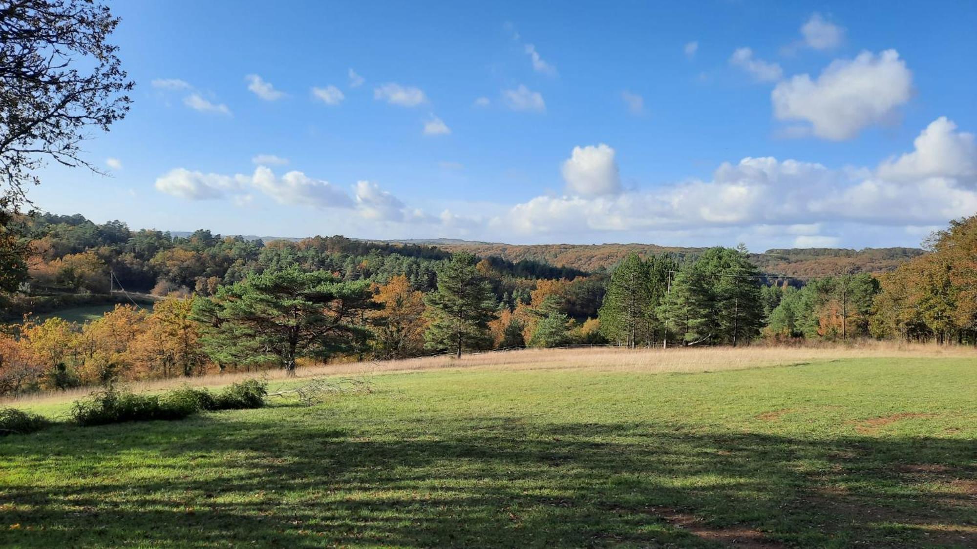 Gite Les Placettes Sainte-Foy-de-Longas ภายนอก รูปภาพ